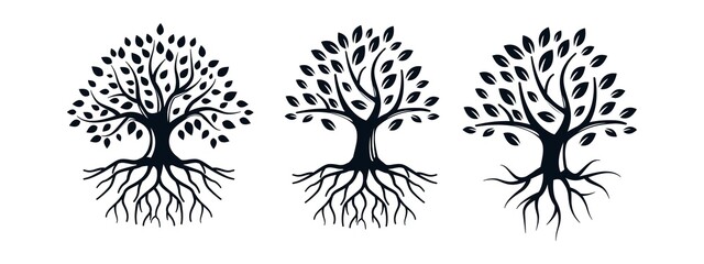 set of tree roots logo design vector illustration