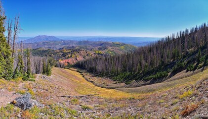 Views from hiking trail of Mount Nebo Wilderness Peak 11,933 feet, fall leaves panoramic, highest in the Wasatch Range of Utah, Uinta National Forest, United States. USA.
