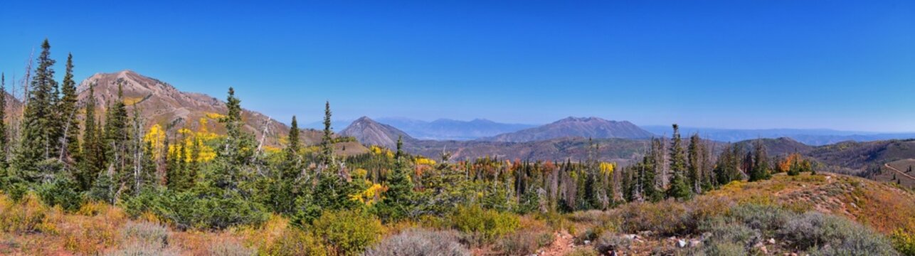 Views from hiking trail of Mount Nebo Wilderness Peak 11,933 feet, fall leaves panoramic, highest in the Wasatch Range of Utah, Uinta National Forest, United States. USA.
