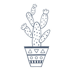 Hand drawn opuntia in flowerpot illustration