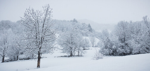 paysage sous la neige en hiver dans les alpes en France dans l'Oisans à Vaujany