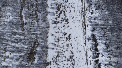 Лес в горах вид сверху