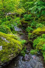 Obraz premium 沢山の緑に囲まれた公園の美しい景色