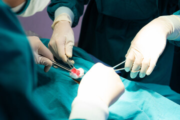 Selective focus at doctor hand. Male assistance help and support doctor while doing surgery for patient inside of the hospital. Healthcare expertise, professional service.