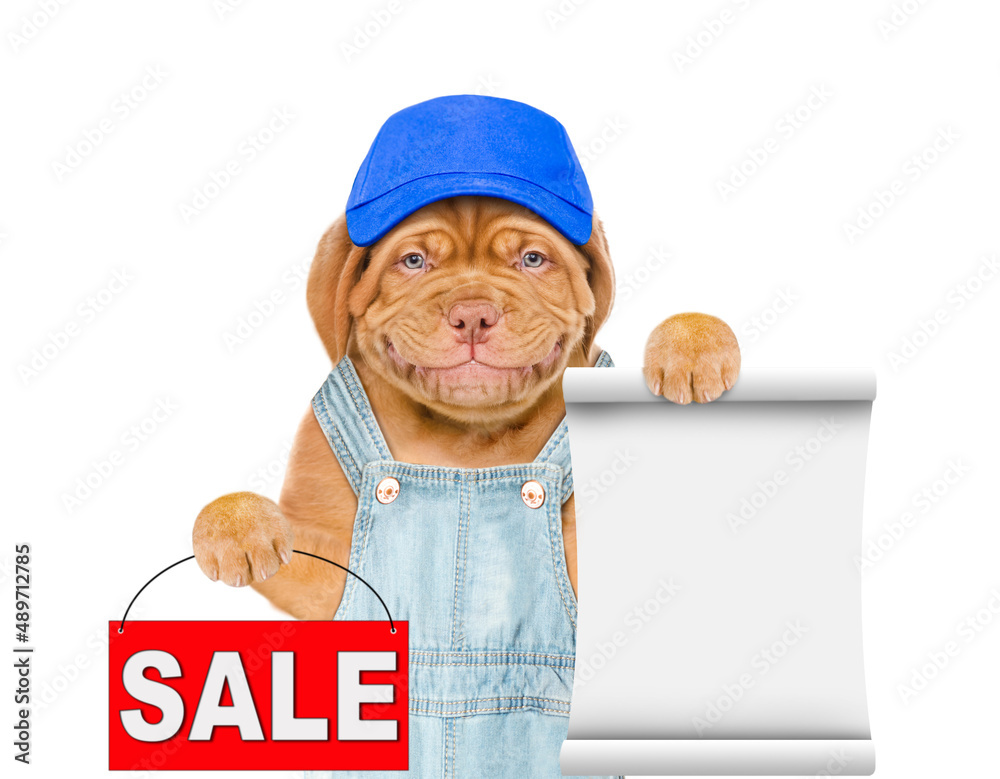 Poster puppy wearing blue cap and overalls shows empty list and sales symbol. isolated on white background