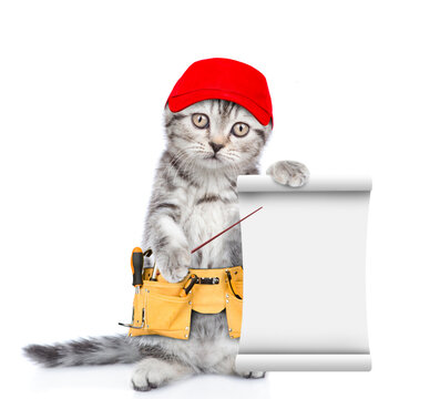 Funny Cat Wearing Red Cap And Toolbelt Holds Empty List.  Isolated On White Background