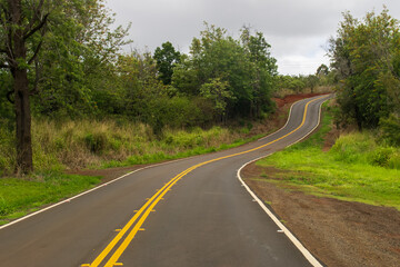 Fototapeta na wymiar A winding paved road leading deeper into the rainforest on Kauai