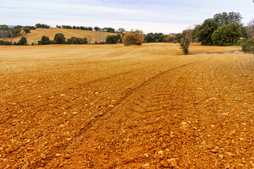 Plowed field for growing food in the interior of Spain.