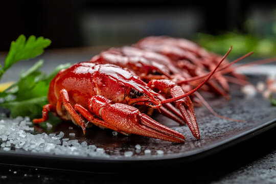 A plate full of cooked crayfish, Traditional Swedish cuisine, Restaurant menu, dieting, cookbook recipe
