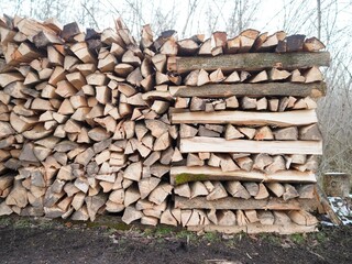 Wärmeenergie - Holzscheite lagern gestapelt im Wald	