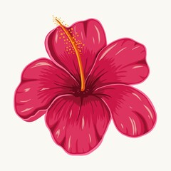 Colorful flower tropical drawing hand isolated vector