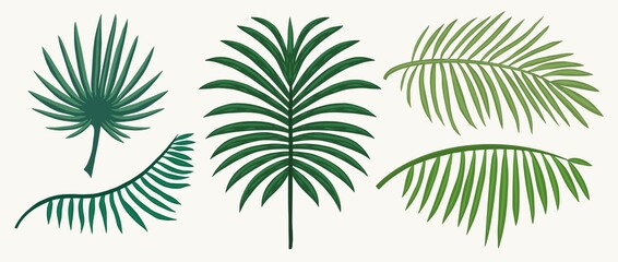 Set tropical leaves isolated vector drawing hand