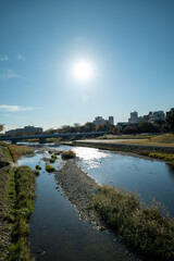 Obraz premium 川辺の風景