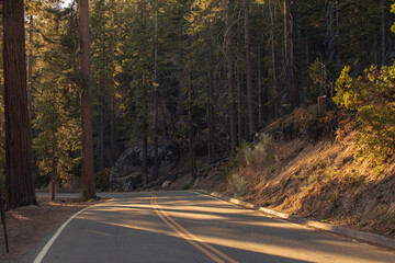 Autumnal natural landscape from Yosemite National Park, California, United States