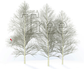 Save a tree is the theme of this image that shows beautiful aspen trees in winter.