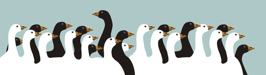 Black and white geese mingle together in this 3-d illustration.