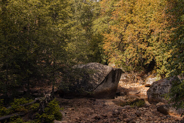 Autumnal natural landscape from Yosemite National Park, California, United States