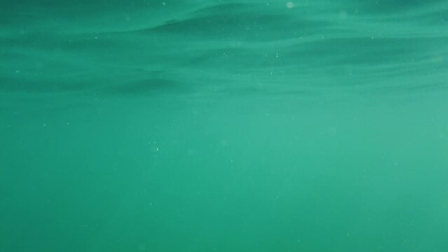 Video of turquoise water right below the surface of the ocean