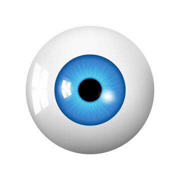 Human eyeball. Eye with bright blue, illustration of eye ball. Realistic 3d vector illustration isolated on white background