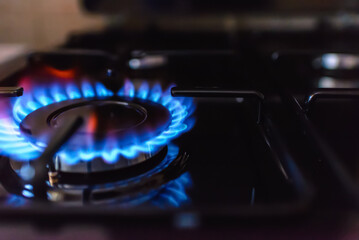 Gas burning from a kitchen gas stove at home.Gas flame with blue reflection.Close-up,selective focus.