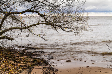 Russia. Kronstadt. October 26, 2019. The southern coast of Kotlin Island in bad weather.