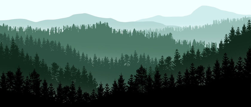 Beautiful realistic widescreen vector with dark green forested mountains.
