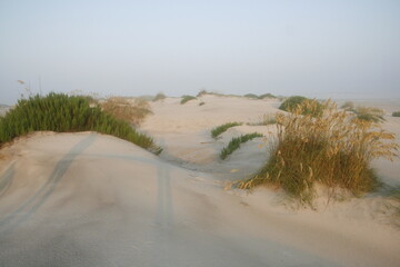 Fototapeta premium dunes in the sand