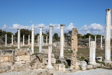 Fototapeta premium Remains of the antique City Salamis, Northern Cyprus 