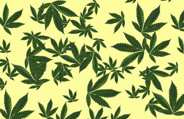 Background of marijuana leaves in the form of leaf fall on a yellow background.