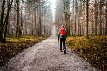 Obraz premium Man with backpack and sticks walking at foggy autumn forest