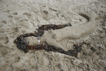 Sand mermaid