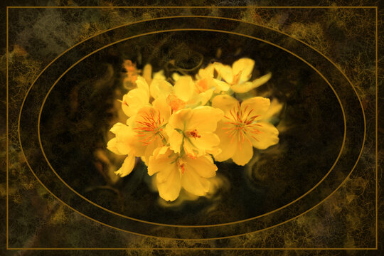 Vintage Style Yellow Apricot Blossom Flowers Background Oval