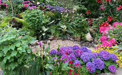 flowers in the garden