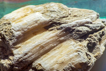 The structure of the textured calcide stone in close-up