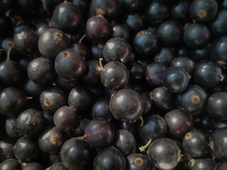 A lot of ripe blackcurrant berries close-up. Natural background