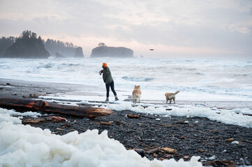 Female playing fetch with dogs on the olympic coast
