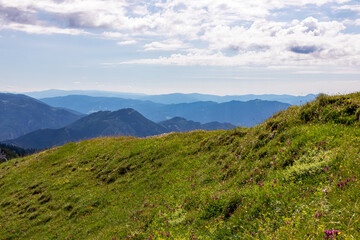 Naklejka premium Green grassland with panoramic view on valley in Hochschwab region in Styria, Austria. Lush green alpine spring meadows with flowers. Hilly landscape on beautiful, clear and sunny day in the Alps.
