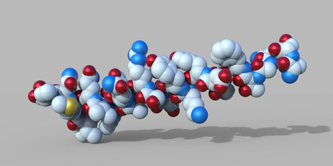 Molecule of the human hormone glucagon