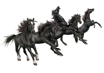 Obraz premium cheval, animal, isolé, illustration, vecteur, noir , mouvement, étalon, blanc, noir, ferme, troupeau, mammifère, course, poney, silhouette, amoureux des chevaux, sauvage, nature, chameau, dessin anim