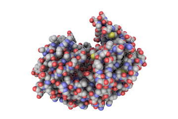 Molecule of pepsin stomach enzyme - obrazy, fototapety, plakaty