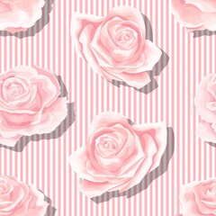 Cream pink roses seamless vector pattern with vertical stripes background