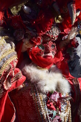 Carnevale di Venezia - 489732115