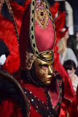 Carnevale di Venezia - 489732118