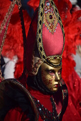 Carnevale di Venezia - 489732120
