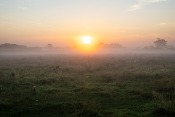 Fototapeta na wymiar Sunrise over Staffordshire Moorlands