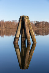 Wooden poles standing in calm water. Reflection in water. Trees on embankment in background.