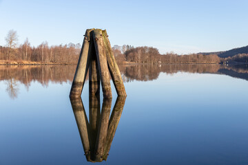 Wooden poles standing in calm water. Reflection in water. Trees on embankment in background.