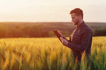 A farmer makes notes on the background of agricultural land during sunset. A young agronomist holds a folder in his hands on a green wheat field. 