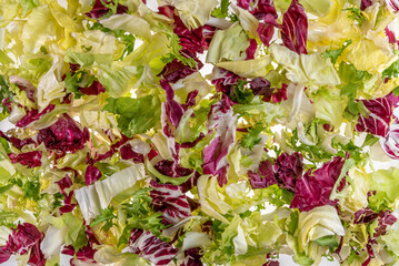 Mixed salad background, leaves lettuce, frisee, lamb lettuce and radicchio in top view, banner texture