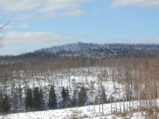 Blick zum Brocken vom Wurmberg